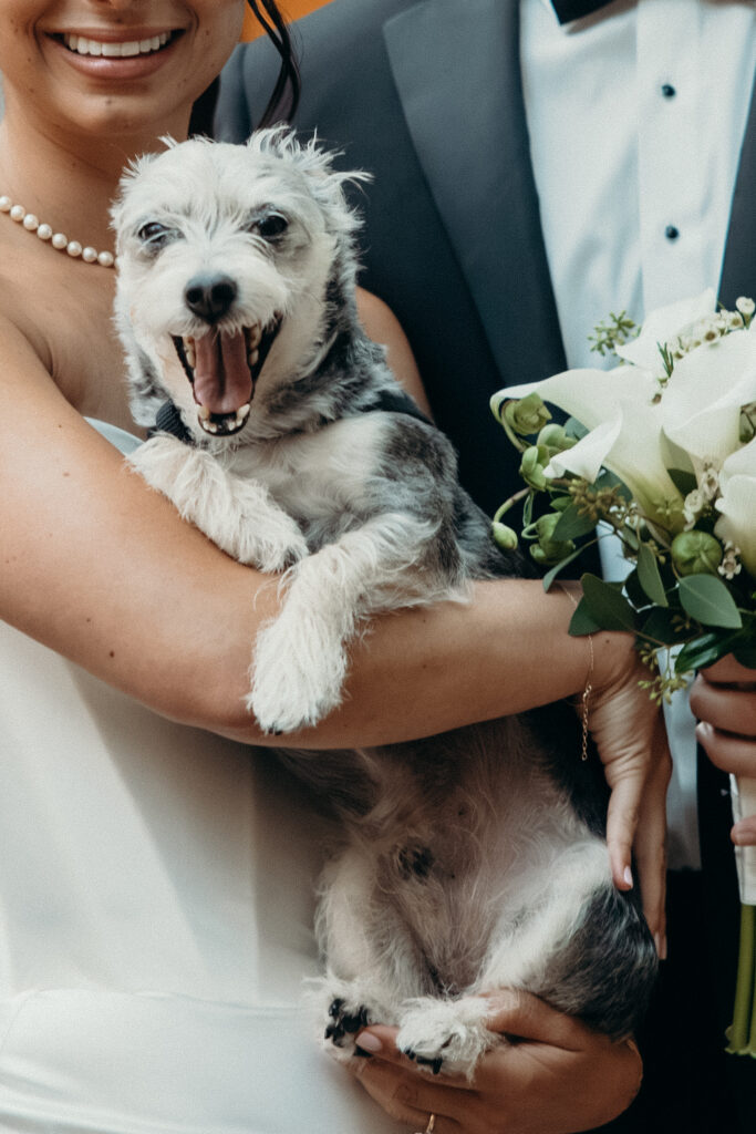 First look with a dog at The Beekman by NYC wedding photographer