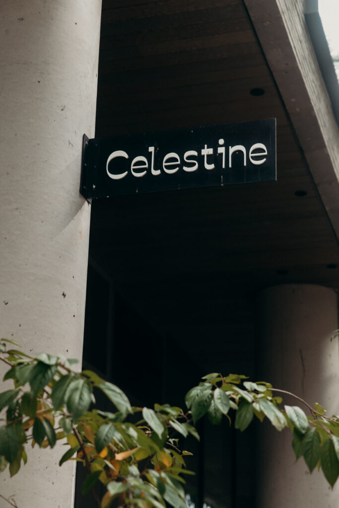 Wedding reception at Celestine DUMBO