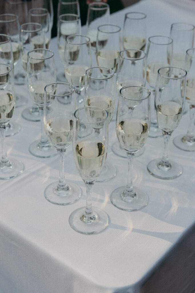 Wedding drinks at Arrow Park New York wedding ceremony