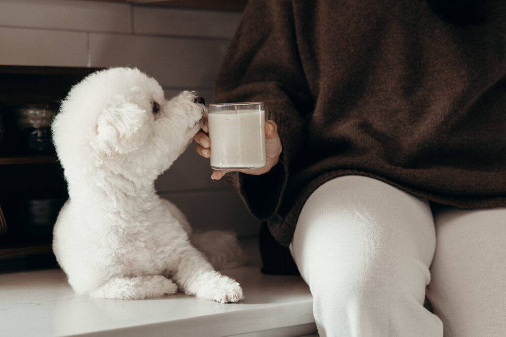 Candle brand photoshoot by a New Jersey branding photographer