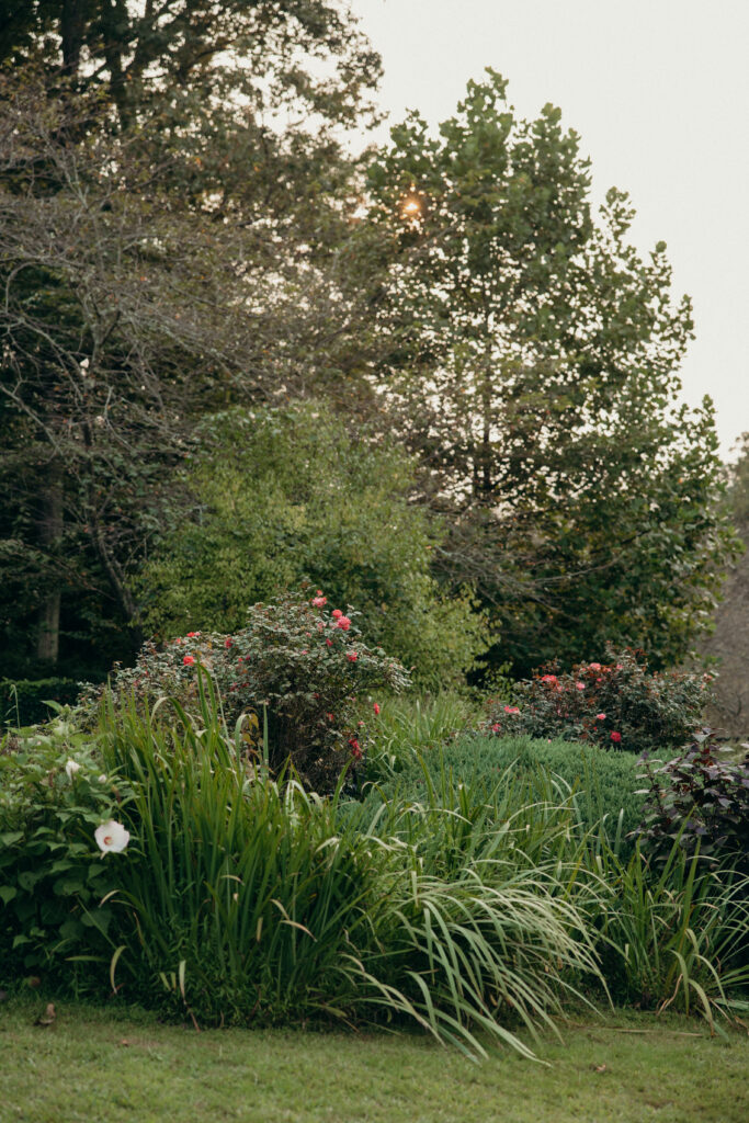 Cocktail Hour at The Willows