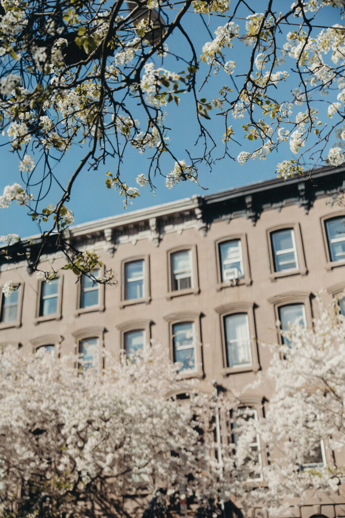 Blooming spring trees and brownstone buildings surrounding a Jersey City neighborhood wedding ceremony