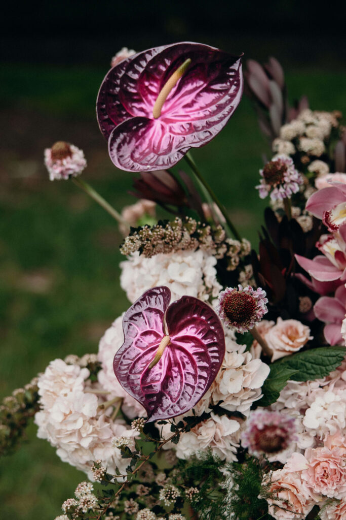 Purple anthuriums and blush flowers decorate the ceremony at The Ashford Estate wedding