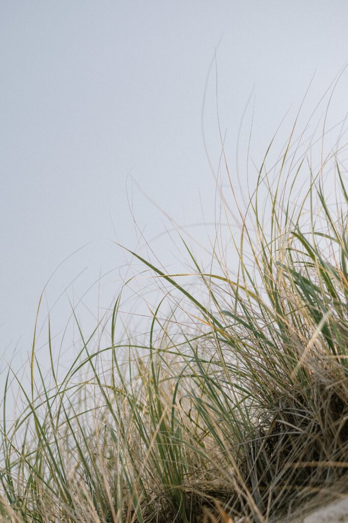 Family Photos in Sea Girt by a New Jersey Family Photographer