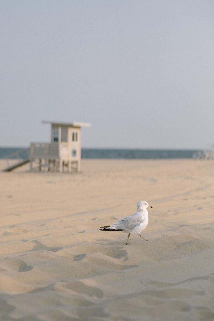 Family Photos in Sea Girt by a New Jersey Family Photographer